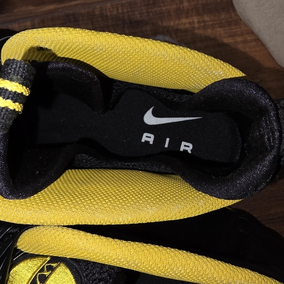 Nike Aie Fomposite Pro 2016 Dr Doom Custom "WU-TANG" Mens Size 14 DS NO BOX - Picture 1 of 6